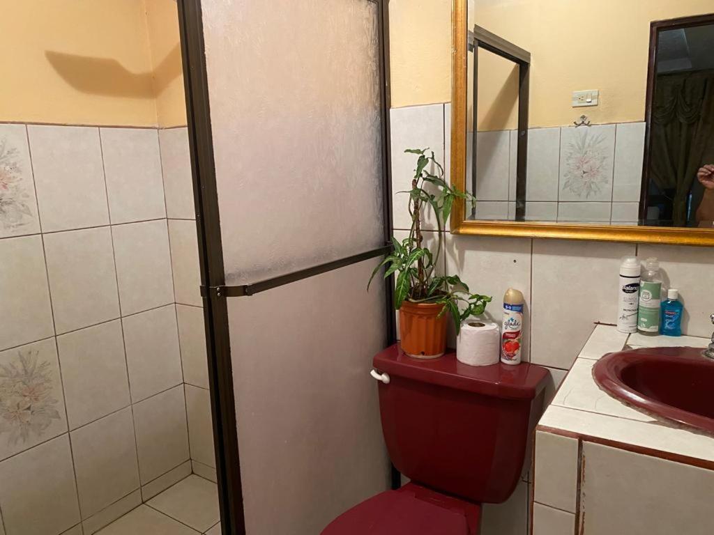 Casa Lupita Alajuela Apartment Екстериор снимка