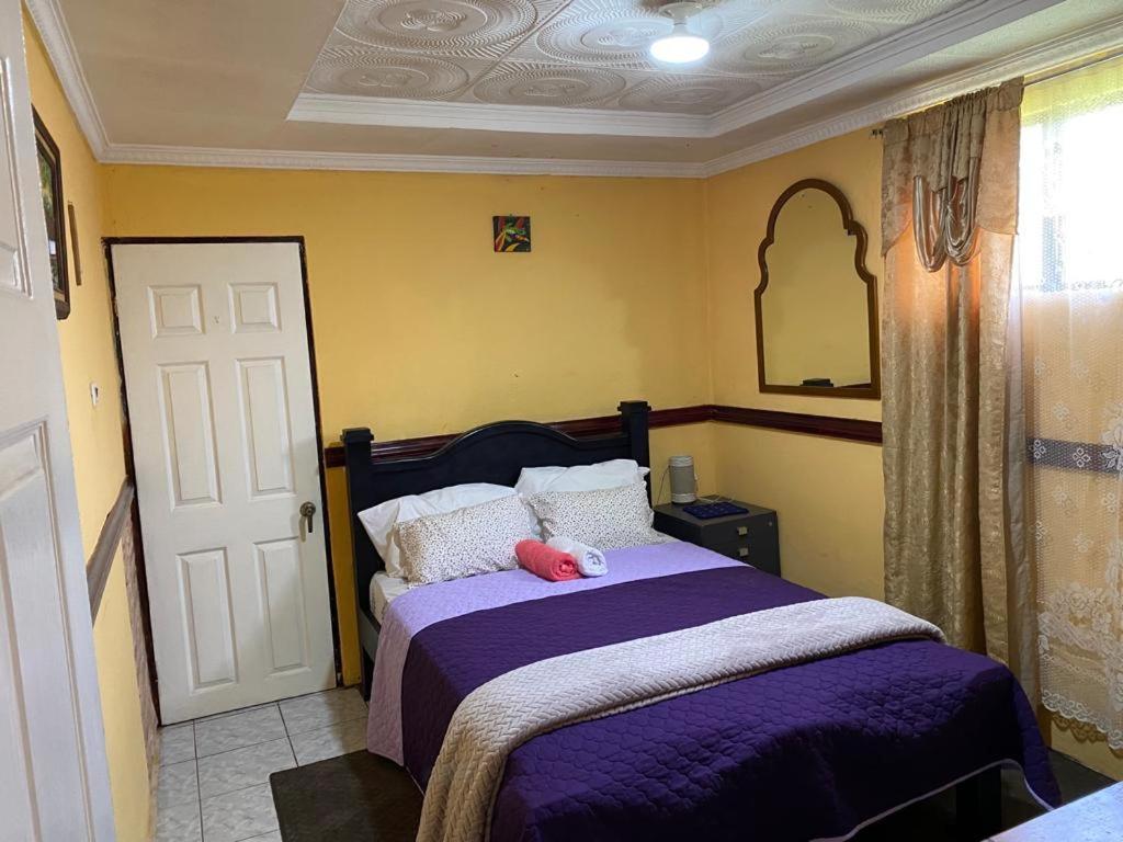 Casa Lupita Alajuela Apartment Екстериор снимка